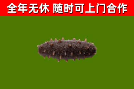 江北区烟酒回收干海参.jpg